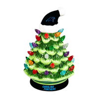 Carolina Panthers