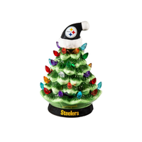 Pittsburgh Steelers